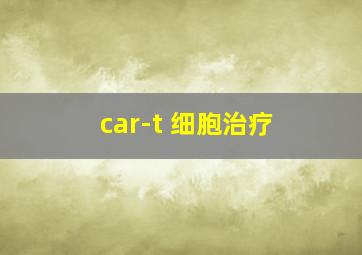 car-t 细胞治疗